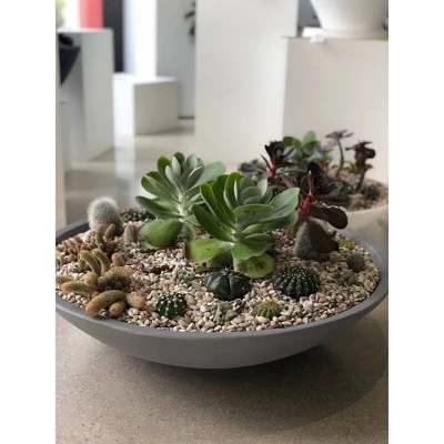 Flash Sale 🤩 Round Montana Planter - Crescent Garden Old Bronze 🥰 3 Flash Sale 🤩 Round Montana Planter - Crescent Garden Old Bronze 🥰