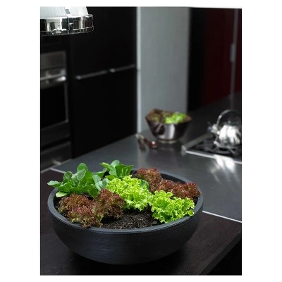 Brand new โจ Orinoco Bowl Planter - Crescent Garden Black ๐ 3 Brand new โจ Orinoco Bowl Planter - Crescent Garden Black ๐