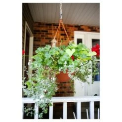 Best Pirce ✨ Dura Cotta Hanging Basket - Bloem Chocolate ✔️