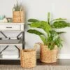 Discount 𧨠Olivia & May Set of 3 Seagrass Wicker Basket Planters with Handles Natural - Olivia & May π₯ 1 Discount 𧨠Olivia & May Set of 3 Seagrass Wicker Basket Planters with Handles Natural - Olivia & May π₯ -Planters Sales Store unnamed file 1906