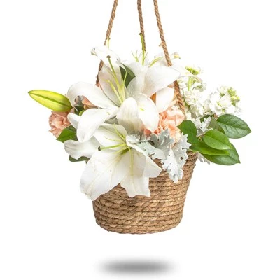 Cheap βοΈ Farmlyn Creek Rope Hanging Planter, Woven Ceiling Plant Basket Hanger, 8 x 8 x 6" π 3 Cheap βοΈ Farmlyn Creek Rope Hanging Planter, Woven Ceiling Plant Basket Hanger, 8 x 8 x 6" π