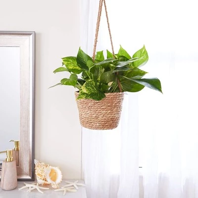 Cheap βοΈ Farmlyn Creek Rope Hanging Planter, Woven Ceiling Plant Basket Hanger, 8 x 8 x 6" π 4 Cheap βοΈ Farmlyn Creek Rope Hanging Planter, Woven Ceiling Plant Basket Hanger, 8 x 8 x 6" π - Image 2