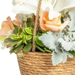 Cheap βοΈ Farmlyn Creek Rope Hanging Planter, Woven Ceiling Plant Basket Hanger, 8 x 8 x 6" π 15 Cheap βοΈ Farmlyn Creek Rope Hanging Planter, Woven Ceiling Plant Basket Hanger, 8 x 8 x 6" π -Planters Sales Store unnamed file 1927