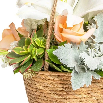 Cheap βοΈ Farmlyn Creek Rope Hanging Planter, Woven Ceiling Plant Basket Hanger, 8 x 8 x 6" π 9 Cheap βοΈ Farmlyn Creek Rope Hanging Planter, Woven Ceiling Plant Basket Hanger, 8 x 8 x 6" π - Image 7