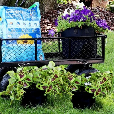 Top 10 🔔 Sunnydaze Decor Sunnydaze 10-Gallon Garden Grow Bag with Handles Nonwoven Polypropylene Fabric, Black, 5pc ⌛ 3 Top 10 🔔 Sunnydaze Decor Sunnydaze 10-Gallon Garden Grow Bag with Handles Nonwoven Polypropylene Fabric, Black, 5pc ⌛