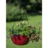 New 👍 Viva Self-Watering Hanging Basket, 14 Inch - Gardener's Supply Company 🔔