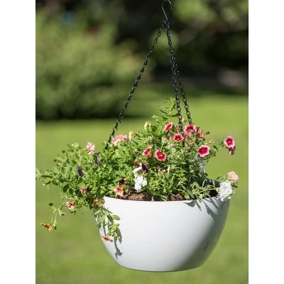 New ๐ Viva Self-Watering Hanging Basket, 14 Inch - Gardener's Supply Company ๐ 4 New ๐ Viva Self-Watering Hanging Basket, 14 Inch - Gardener's Supply Company ๐ - Image 2