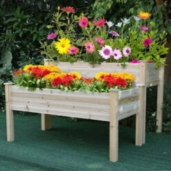 Promo 🔥 Outsunny 2 Tiers Fir Wooden Raised Garden Bed with Drainage Holes Elevated Planter Box Stand with Legs 2 Compartments and Sturdy Design 🌟