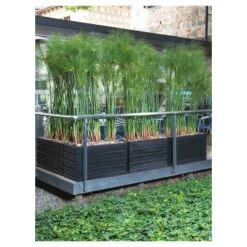 Best Pirce 👏 Rectangular Ellis Planter - Crescent Garden Black 👏 -Planters Sales Store unnamed file 2171