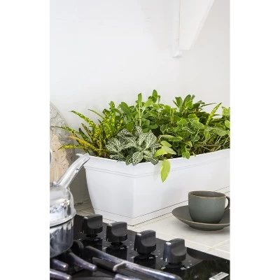 Buy ๐งจ The HC Companies ECW30000A10 Indoor Outdoor 30 Inch Eclipse Series Window Flower Garden Ornamental Planter Box with Removable Attached Saucer, White ๐ 3 Buy ๐งจ The HC Companies ECW30000A10 Indoor Outdoor 30 Inch Eclipse Series Window Flower Garden Ornamental Planter Box with Removable Attached Saucer, White ๐