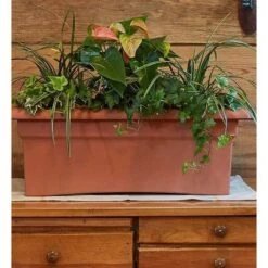 Outlet 𧨠26" x 11" Veranda Rectangular Window Deck Box Planter - Bloem Terra Cotta π