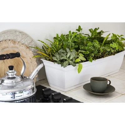 Hot Sale ๐ The HC Companies ECW24000A42 Indoor Outdoor 24 Inch Eclipse Series Window Herb Garden Ornamental Planter Box with Removable Attached Saucer, Warm Gray ๐คฉ 5 Hot Sale ๐ The HC Companies ECW24000A42 Indoor Outdoor 24 Inch Eclipse Series Window Herb Garden Ornamental Planter Box with Removable Attached Saucer, Warm Gray ๐คฉ - Image 3