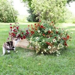 Hot Sale 🌟 Sunnydaze Decor Sunnydaze Outdoor Rectangular Wood Raised Garden Bed for Flower, Vegetable, and Herb Gardening - 24" W x 48.25" L x 12.25" H - Brown 🤩 -Planters Sales Store unnamed file 223