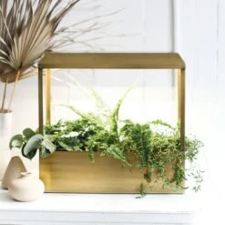 Top 10 🛒 Modern Sprout Smart Growhouse - Indoor Planter with Grow Light, Smart App Enabled, Brass ✔️