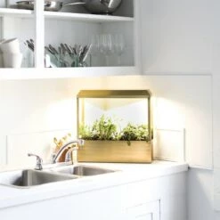 Top 10 🛒 Modern Sprout Smart Growhouse - Indoor Planter with Grow Light, Smart App Enabled, Brass ✔️ -Planters Sales Store unnamed file 2334