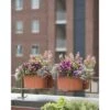 Budget ❤️ Gardener's Supply Company Self-Watering Saddle Railing Planter, 16" - Gardener's Supply Co. 🧨 -Planters Sales Store unnamed file 2495