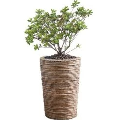 Top 10 👍 Vintiquewise Wicker Banana Rope Tall Floor Planter with Metal Pot 😉 -Planters Sales Store unnamed file 2502