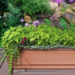 Discount ⭐ Southern Patio 36 In Medallion Hanging Windowsill Garden Box Planter, Terracotta 🤩 7 Discount ⭐ Southern Patio 36 In Medallion Hanging Windowsill Garden Box Planter, Terracotta 🤩 -Planters Sales Store unnamed file 2540