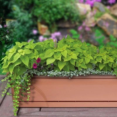 Discount ⭐ Southern Patio 36 In Medallion Hanging Windowsill Garden Box Planter, Terracotta 🤩 5 Discount ⭐ Southern Patio 36 In Medallion Hanging Windowsill Garden Box Planter, Terracotta 🤩 - Image 3