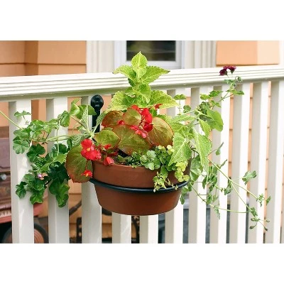 Hot Sale 🤩 Set of 2 8" Wall Mounted Flower Pot Holder Ring Brackets Black Powder 🧥 Coat - ACHLA Designs ✔️ 5 Hot Sale 🤩 Set of 2 8" Wall Mounted Flower Pot Holder Ring Brackets Black Powder 🧥 Coat - ACHLA Designs ✔️ - Image 3