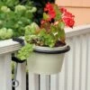 Budget ✨ Set of 2 6" Indoor/Outdoor Clamp-On Flower Pot Holder Ring Brackets Black Powder 🧥 Coat Finish - ACHLA Designs 🥰 1 Budget ✨ Set of 2 6" Indoor/Outdoor Clamp-On Flower Pot Holder Ring Brackets Black Powder 🧥 Coat Finish - ACHLA Designs 🥰 -Planters Sales Store unnamed file 2853