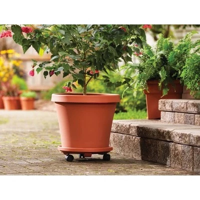 Top 10 π 2pk 14" Plant Stand Caddy with Wheels and Saucer Tray Terracotta - Bloem π₯ 2 Top 10 π 2pk 14" Plant Stand Caddy with Wheels and Saucer Tray Terracotta - Bloem π₯