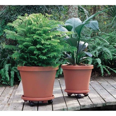 Top 10 π 2pk 14" Plant Stand Caddy with Wheels and Saucer Tray Terracotta - Bloem π₯ 3 Top 10 π 2pk 14" Plant Stand Caddy with Wheels and Saucer Tray Terracotta - Bloem π₯ - Image 2