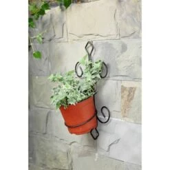 Cheapest ✔️ Iron Single Pot Novelty Wall Planter With Distressed Detail Black/Gold - Ore International ✨ -Planters Sales Store unnamed file 2898