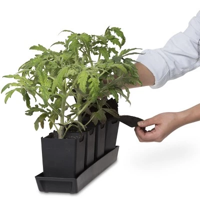 Discount π₯° Gardener's Supply Company Pop-Out Pots, Set of 4 - GARDENER'S SUPPLY CO. 𧨠2 Discount π₯° Gardener's Supply Company Pop-Out Pots, Set of 4 - GARDENER'S SUPPLY CO. 𧨠- Image 2