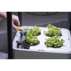 Deals 😀 Miracle-Gro Twelve Plant Nutrition and Transplanting Kit 🔔 -Planters Sales Store unnamed file 2945