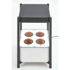 Deals 😀 Miracle-Gro Twelve Plant Nutrition and Transplanting Kit 🔔 -Planters Sales Store unnamed file 2946