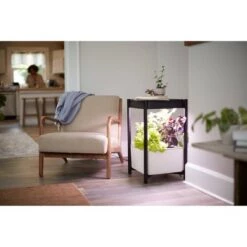 Buy ⌛ Miracle-Gro Twelve Nutrition and Seed Starter ⭐ -Planters Sales Store unnamed file 2977