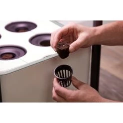 Buy ⌛ Miracle-Gro Twelve Nutrition and Seed Starter ⭐ -Planters Sales Store unnamed file 2978