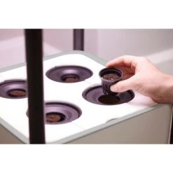 Buy ⌛ Miracle-Gro Twelve Nutrition and Seed Starter ⭐ -Planters Sales Store unnamed file 2979