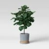 Best Pirce 😉 Earthenware Planter - Smith & Hawken™ Blue ✨ -Planters Sales Store unnamed file 2994