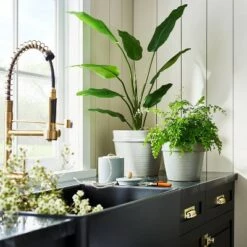 Cheapest 🤩 Threshold Designed W/Studio McGee Earthenware Tabletop Planter - Threshold™ designed with Studio McGee Rose 😍