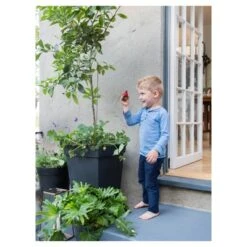 Wholesale 🤩 Recycled Square Tapered Planter - Smith & Hawken™ Black 🧨 -Planters Sales Store unnamed file 3013