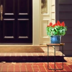 Best deal ✨ Smith & Hawken Wood Plant Stand Black - Smith & Hawken™ 🤩 -Planters Sales Store unnamed file 3033