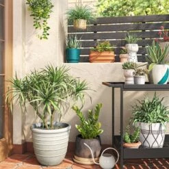 Cheap 🎁 5" Outdoor Sand Glazed Stoneware Planter Terracotta - Project 62™ 😉