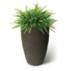 Hot Sale 😍 Algreen Products 87311 Athena Self-Watering Flower Pot and Planter, Brownstone 🎉 -Planters Sales Store unnamed file 3058