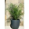 Brand new 😍 17" Kante Lightweight Concrete Modern Seamless Outdoor Planter - Rosemead Home & Garden, Inc. Slate Gray 🥰 -Planters Sales Store unnamed file 3060