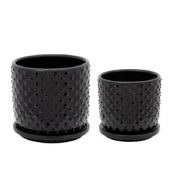Cheapest 🎉 Tiny Dots Planter with Saucer - Sagebrook Home Black 💯