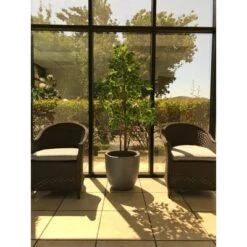 Best deal 🧨 Kante Lightweight Modern Outdoor Concrete Urn Planter Slate Gray - Rosemead Home & Garden, Inc. 🧨 -Planters Sales Store unnamed file 3119