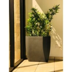 Flash Sale ๐ Kante Lightweight Modern Outdoor Concrete Oval Planter Charcoal Black - Rosemead Home & Garden, Inc. ๐ 16 Flash Sale ๐ Kante Lightweight Modern Outdoor Concrete Oval Planter Charcoal Black - Rosemead Home & Garden, Inc. ๐ -Planters Sales Store unnamed file 3184