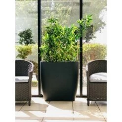 Flash Sale ๐ Kante Lightweight Modern Outdoor Concrete Oval Planter Charcoal Black - Rosemead Home & Garden, Inc. ๐ 17 Flash Sale ๐ Kante Lightweight Modern Outdoor Concrete Oval Planter Charcoal Black - Rosemead Home & Garden, Inc. ๐ -Planters Sales Store unnamed file 3185