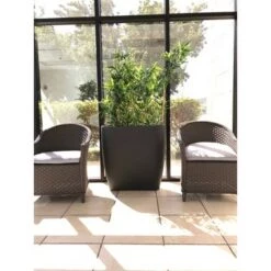 Flash Sale ๐ Kante Lightweight Modern Outdoor Concrete Oval Planter Charcoal Black - Rosemead Home & Garden, Inc. ๐ 18 Flash Sale ๐ Kante Lightweight Modern Outdoor Concrete Oval Planter Charcoal Black - Rosemead Home & Garden, Inc. ๐ -Planters Sales Store unnamed file 3186