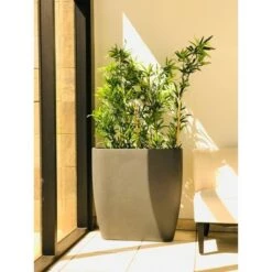 Flash Sale ๐ Kante Lightweight Modern Outdoor Concrete Oval Planter Charcoal Black - Rosemead Home & Garden, Inc. ๐ 20 Flash Sale ๐ Kante Lightweight Modern Outdoor Concrete Oval Planter Charcoal Black - Rosemead Home & Garden, Inc. ๐ -Planters Sales Store unnamed file 3188