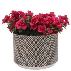 Best deal 💯 Sagebrook Home Set of 2 Geometric Polyresin Planters Gold 🥰 -Planters Sales Store unnamed file 3406