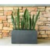 Budget ๐ฏ Kante Lightweight Modern Long Low Outdoor Concrete Rectangular Planter - Rosemead Home & Garden, Inc. Charcoal ๐ 2 Budget ๐ฏ Kante Lightweight Modern Long Low Outdoor Concrete Rectangular Planter - Rosemead Home & Garden, Inc. Charcoal ๐ -Planters Sales Store unnamed file 3451