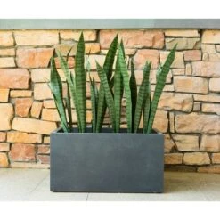 Budget ๐ฏ Kante Lightweight Modern Long Low Outdoor Concrete Rectangular Planter - Rosemead Home & Garden, Inc. Charcoal ๐